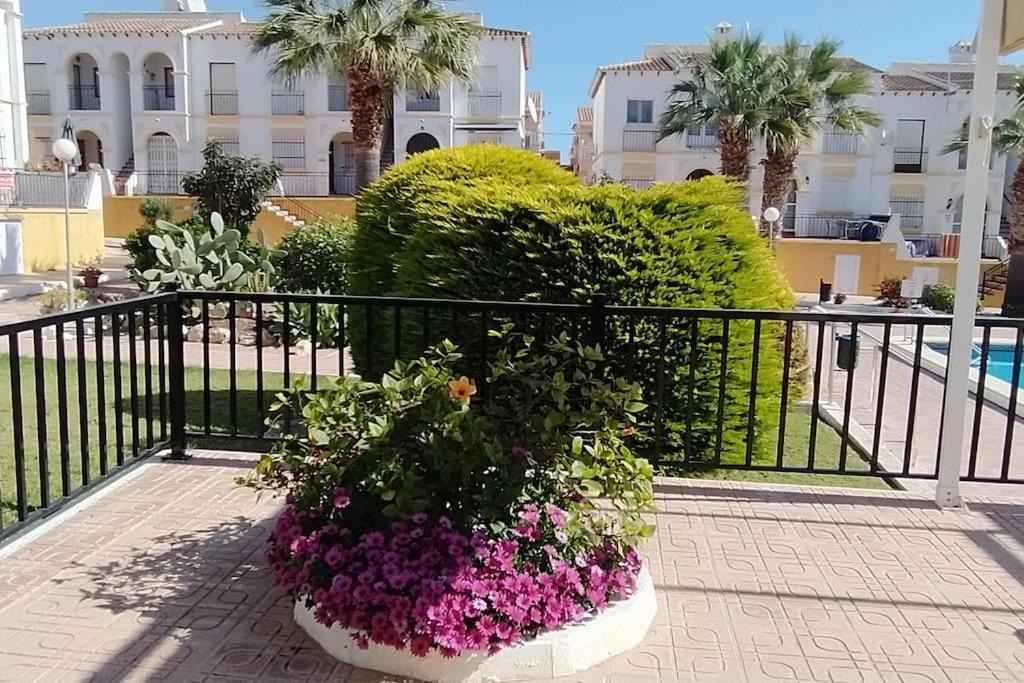 Villamartin Golf Lovers Home San Miguel De Salinas Exteriér fotografie